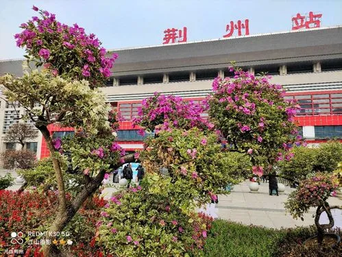 杭州到荊州物流專線-杭州至荊州貨運(yùn)公司