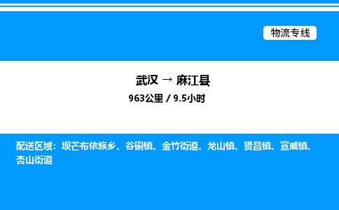 武漢到麻江縣物流專(zhuān)線-武漢至麻江縣貨運(yùn)公司